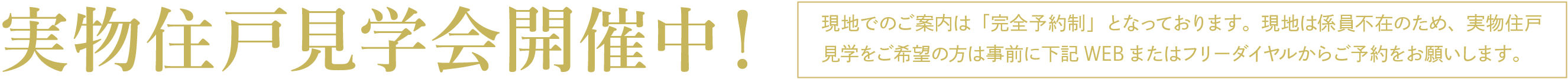 実物見学会開催中！